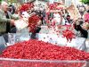 Nemi strawberry festival near Rome