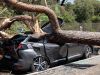 Italy hit by violent storms, two killed in Tuscany