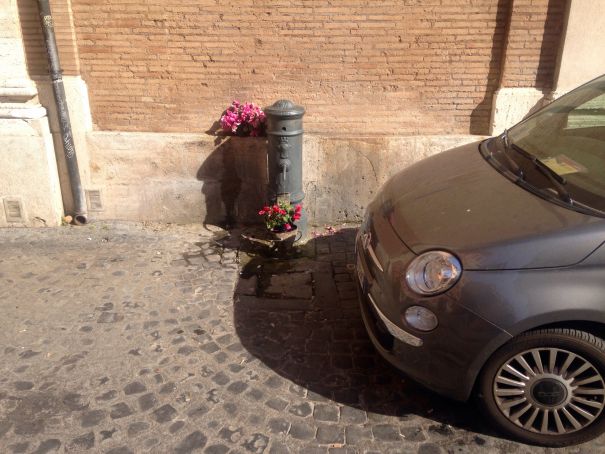 Flowers, nasone and 500...Rome