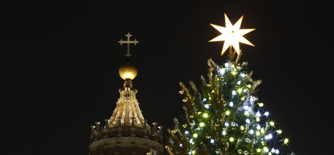 St Peter's Christmas tree to be unveiled early