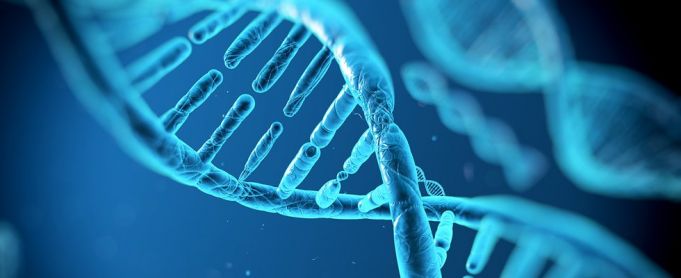 DNA: Il grande libro della vita da Mendel alla genomica