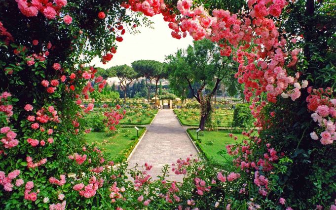 Rome's rose garden