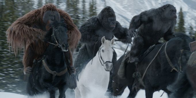War for the Planet of the Apes showing in Rome cinemas