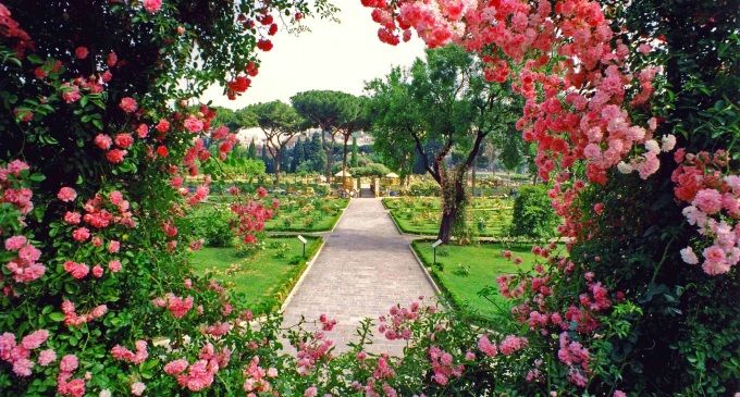 Rome's rose garden opens in October