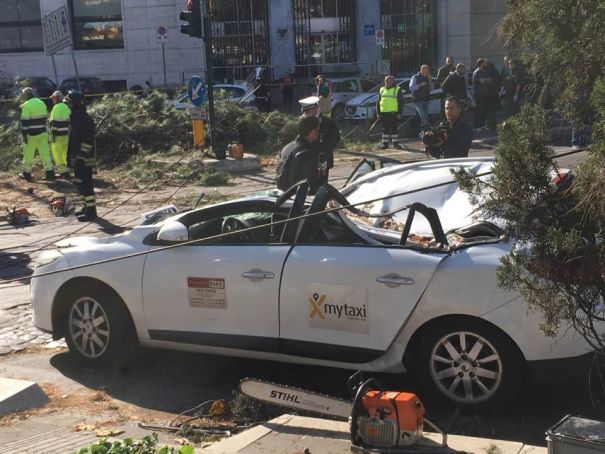Falling tree hits a taxi at traffic lights in Rome, Lungotevere. (2) ph: Valentina Tocchi