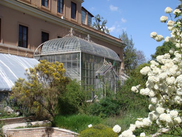 Rome's Botanic Gardens: Orto Botanico