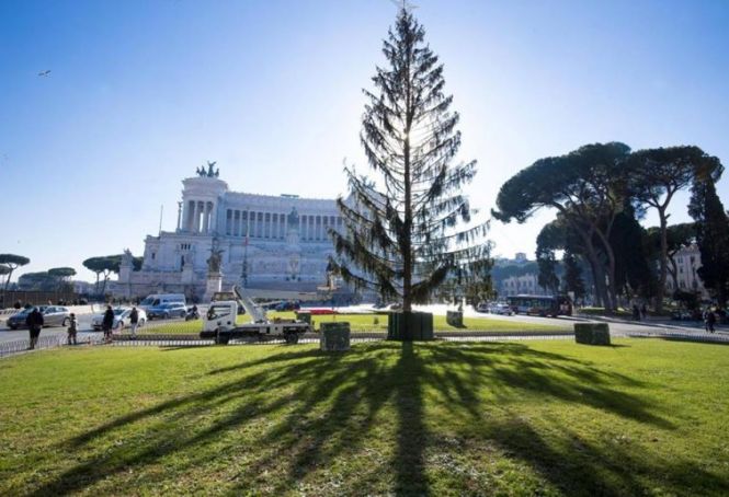 Rome's Christmas tree sparks debate