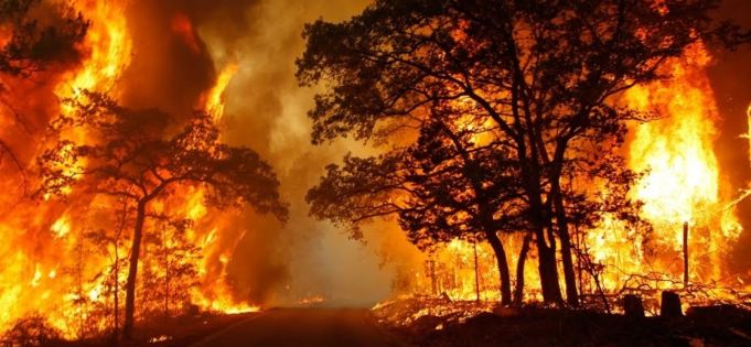Lazio Region warns Rome area at risk of bushfires