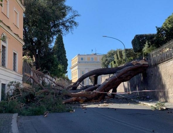 Rome's parks closed after strong winds batter city