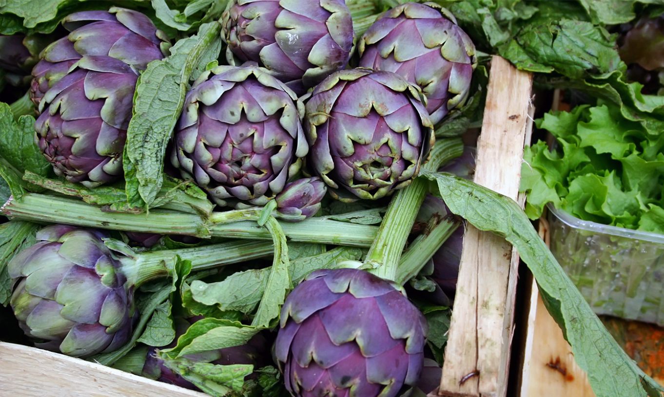 Rome's artichoke festival Wanted in Rome