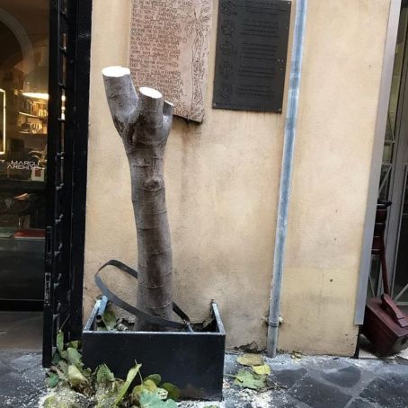 Rome: Via Margutta loses its landmark fig tree