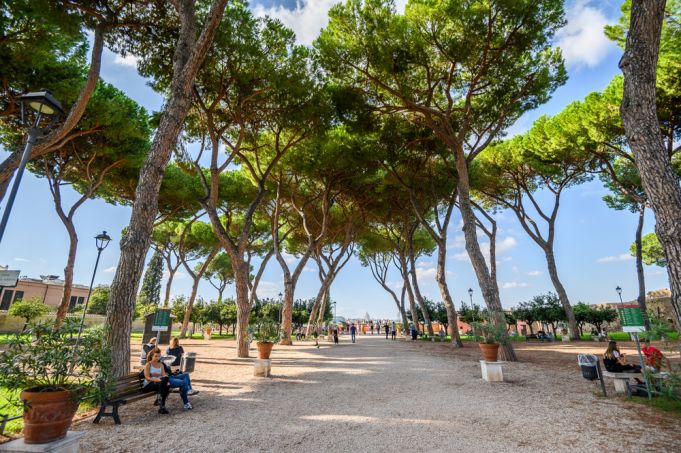 Rome risks losing 50,000 pine trees to invasive insect