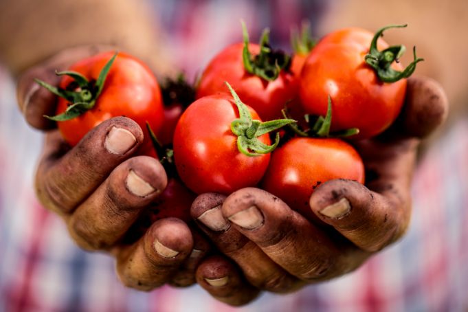 World Food Day 2020: Rome's FAO celebrates 75 years