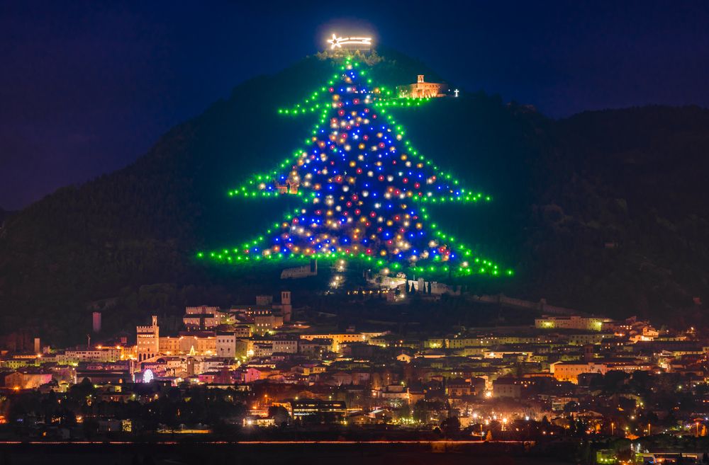 Largest Christmas Tree In The World 2024 Bryn Marnia