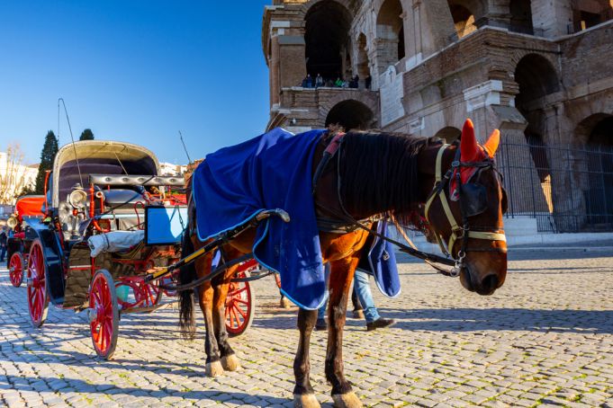 Rome bans horse-drawn carriages from city streets