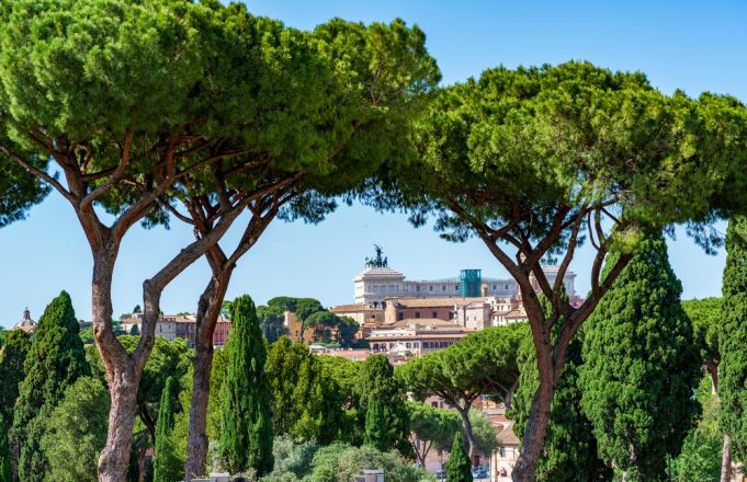Rome to plant 2,500 new trees this year