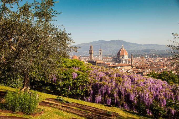 Bardini Garden