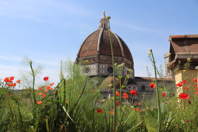 garden of Palazzo Pucci