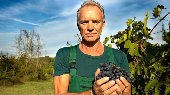 Sting opens his Tuscan vineyard to wine-loving guests