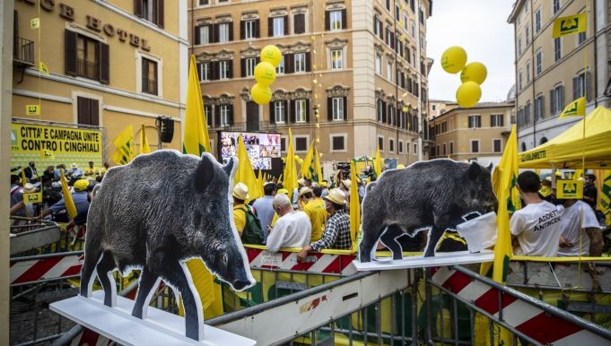 Italian farmers protest in Rome over wild boar emergency
