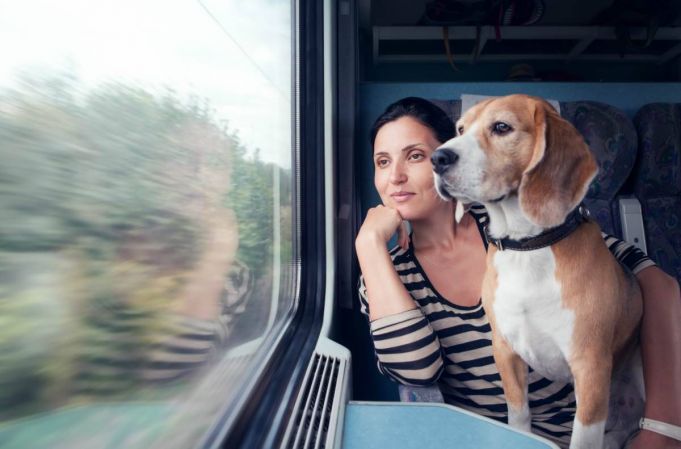 Dogs travel free on Italy's long-distance trains this summer