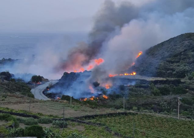 Pantelleria: remote Italian island ravaged by wildfire