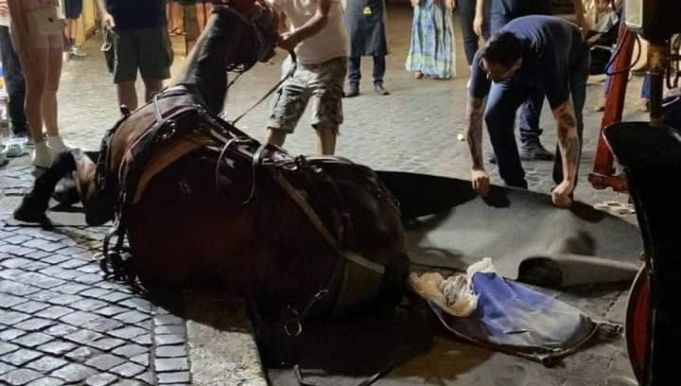 Rome: Horse collapses in front of Trevi Fountain