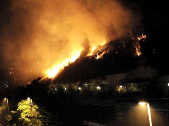 Bushfire in northern Rome - image 2