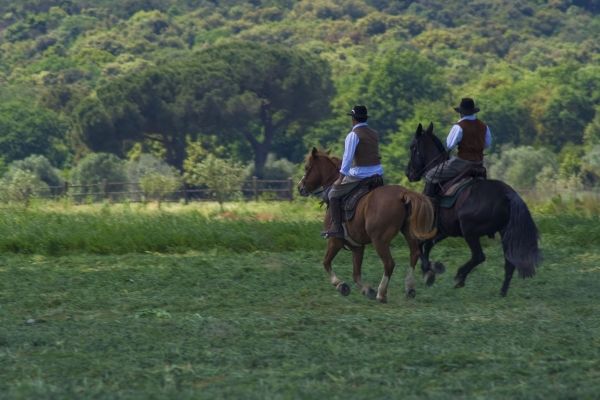 Tenuta Agricola dell'Uccellina - image 2