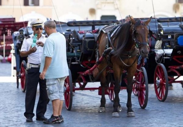 Rome's horse-drawn carriages here to stay - image 2