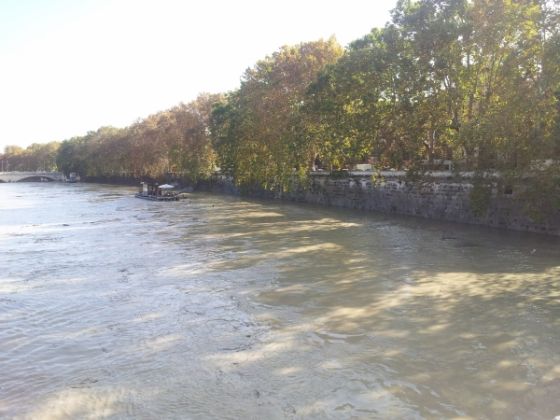 Tiber rises to dangerous level in Rome - image 2