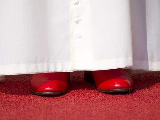 Final papal audience of Benedict XVI - image 4