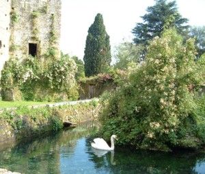 Ninfa Gardens - image 4