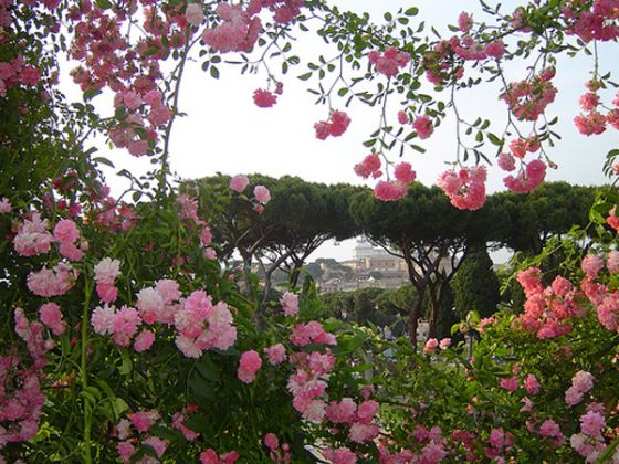 Rome’s rose garden - image 1