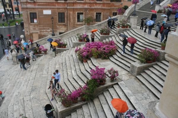 Rome’s Spanish Steps in full bloom - image 2