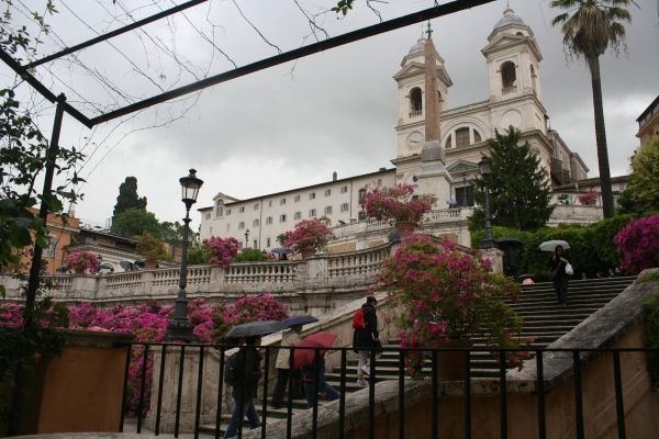 Rome’s Spanish Steps in full bloom - image 1