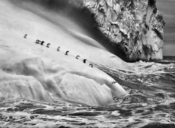 Genesi. Sebastião Salgado - image 2