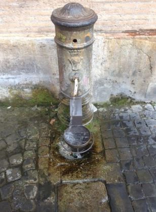 Rome’s fountains go animal friendly - image 2