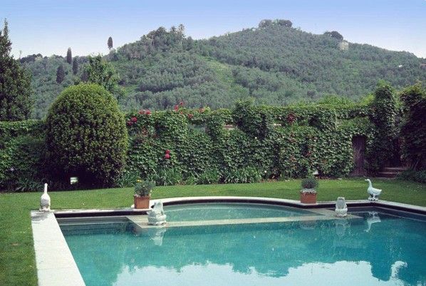 Villa Michaela in Tuscany - image 2