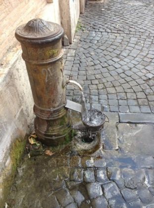Rome’s fountains go animal friendly - image 1