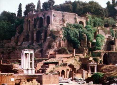 Colosseum, Palatine and Roman Forum - image 2