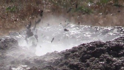 Geysers in Fiumicino - image 2