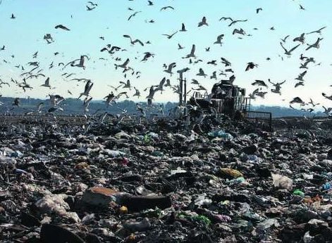 Rome's Malagrotta rubbish dump closed at last - image 1