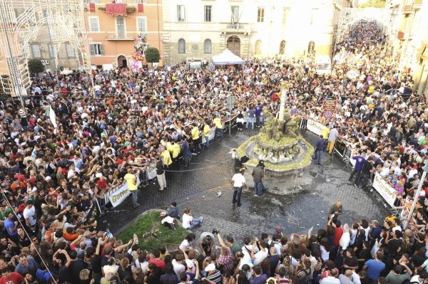 Wine festival at Marino - image 3