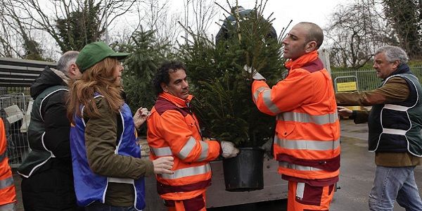 Rome recycles Christmas trees - image 3