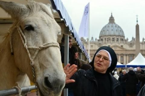 Blessing of the animals in St Peter's Square - image 3