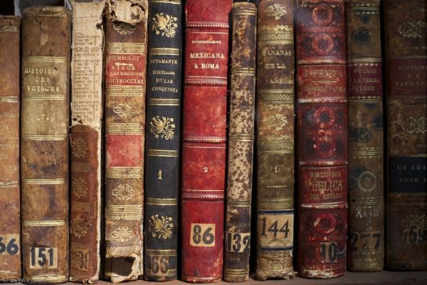 S. Susanna Library fundraiser - image 2