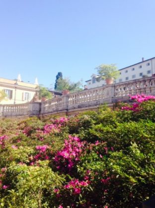 Rome’s Spanish Steps in full bloom - image 3