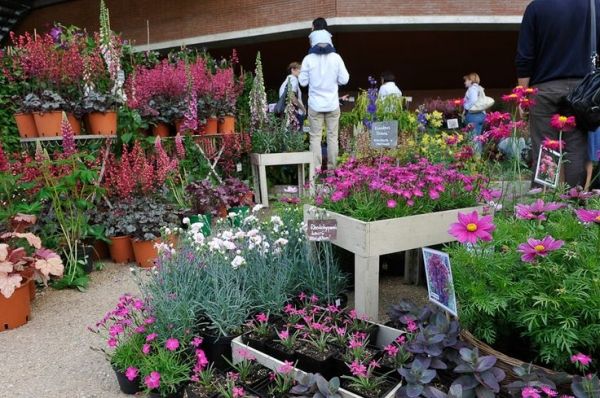 Festival del Verde e del Paesaggio - image 3