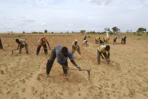 FAO reports progress in eradicating hunger - image 3